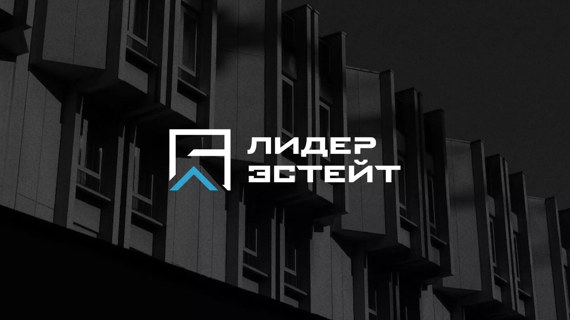 Разработка логотипа агентства недвижимости «Лидер Эстейт» в Владикавказе